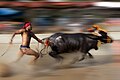 Kambala panning