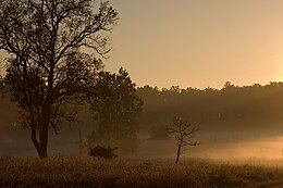 Parco Nazionale Di Kanha