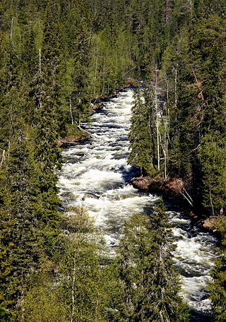 <span class="mw-page-title-main">Kitkajoki</span> River in Finland