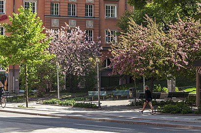 Vägbeskrivningar till Karl Staaffs Park med kollektivtrafik