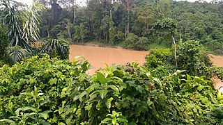 <span class="mw-page-title-main">Jelai River</span> River in Pahang, Malaysia