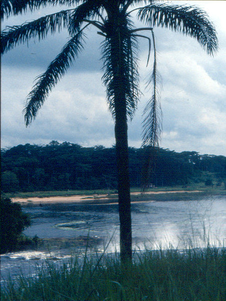 File:Kisangani 07.jpg