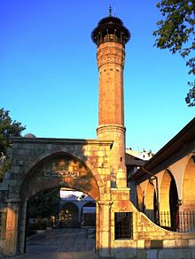 Kmulucami1.JPG