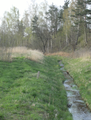 Korzeniówka – řeka plynoucí Szydłowcem