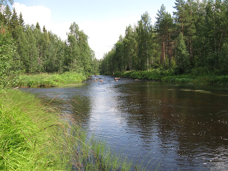 File:Kutujoki Taimeroinen rapids.JPG