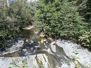 La Petite Rivière (Grand lac Saint François) River in Estrie, Quebec (Canada)