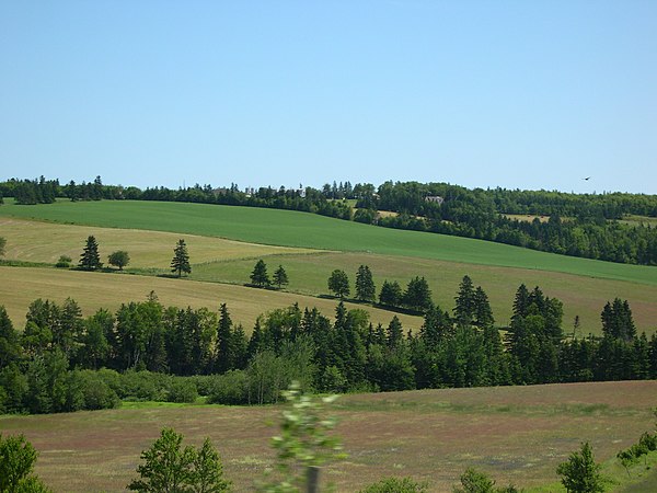 The island's landscape is pastoral, with wooded areas and rolling hills.