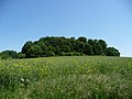 Vorschaubild der Version vom 22:01, 21. Mai 2018