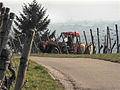 Versuch von Nyks ►?: Farbe korrigiert (Gras, Himmel,...), Rauschen, Belichtung