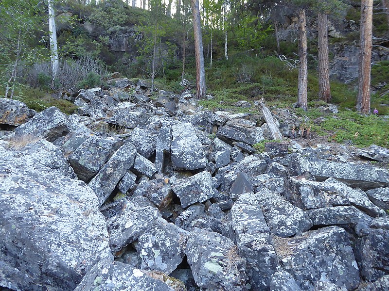 File:Lapland - Lemmenjoki National Park - 20180727182100.jpg