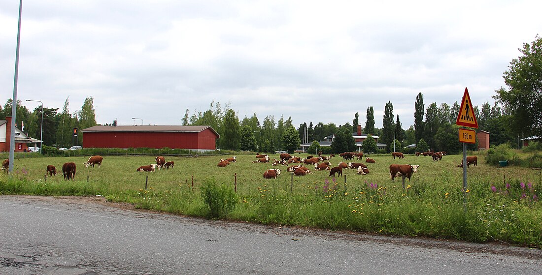 Siikaisten kirkonkylä