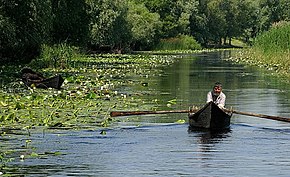 Delta Dunării: Geografie, Geologie, Geomorfologie