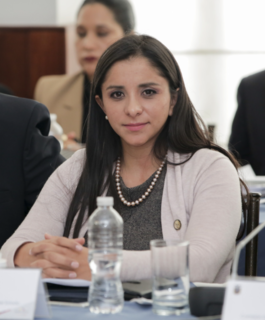 <span class="mw-page-title-main">Lira Villalva</span> Ecuadorian lawyer and politician