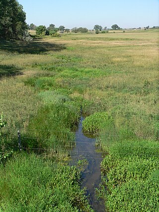 <span class="mw-page-title-main">Lodgepole Creek</span> River