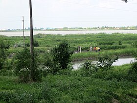 Белое озеро и его рыбные пруды. Село Лукино, Сербия.