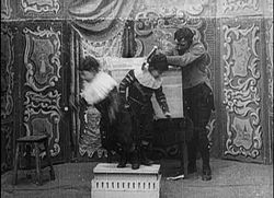 Méliès, Illusions fantasmagoriques (Star Film 155, 1898).jpg