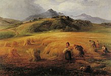 スコットランドのアラン島の収穫風景