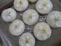 Korejský pokrm Maehwajeon s květy meruňky ume