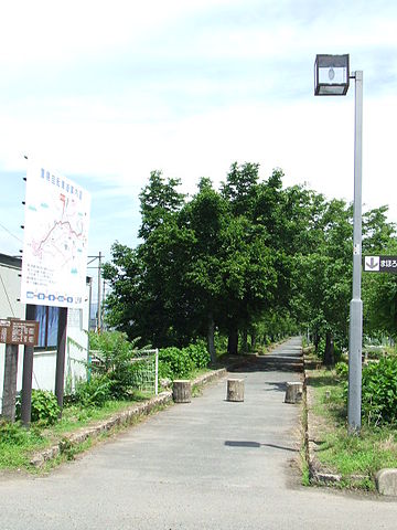 山形県道384号米沢県南公園自転車道線