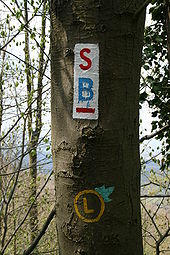 Odenwald Burg Frankenstein: Geschichte, Architektur, Mythen, Sagen und Kuriositäten