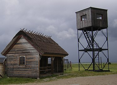 Станция наблюдения за птицами