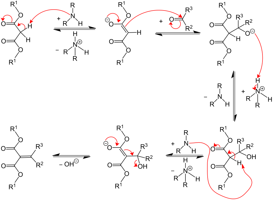 Mechanismus Knoeveagel-Kondensation V5.svg