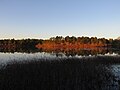 Thumbnail for Mill Pond (Wareham, Massachusetts)