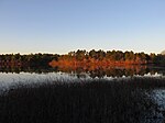 Mill Pond (Wareham, Massachusetts)