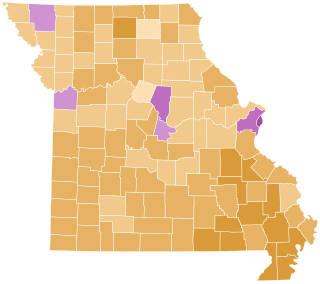 <span class="mw-page-title-main">2008 Missouri Democratic presidential primary</span>