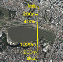 図:"水戸市断面図"の切断線