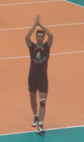 File:Mohammad Mousavi 2013.jpg