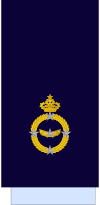 Morocco-AirForce-OF-9 Sleeve.svg
