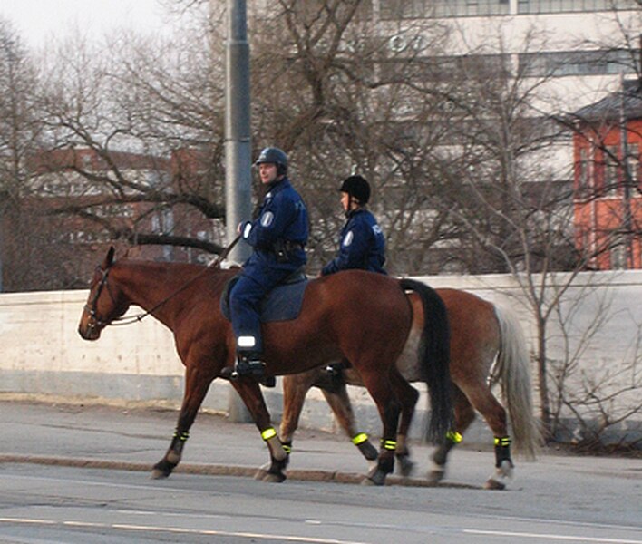 File:Mounted Police in Helsinki Finland.jpg