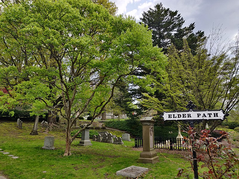 File:Mt. Auburn Cemetery 10.jpg