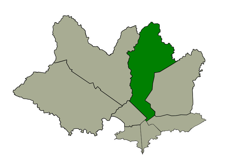 File:MunicipioDMontevideo.svg