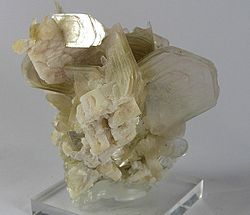 Muscovite, a mineral species in the mica group, within the phyllosilicate subclass Muscovite-Albite-122886.jpg