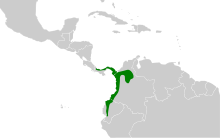 Myrmotherula pacifica map.svg