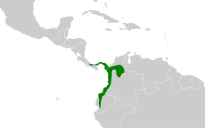 Myrmotherula pacifica map.svg