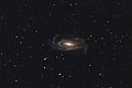 NGC 5033 (Hunter Wilson)