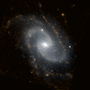 NGC 2989 üçün miniatür