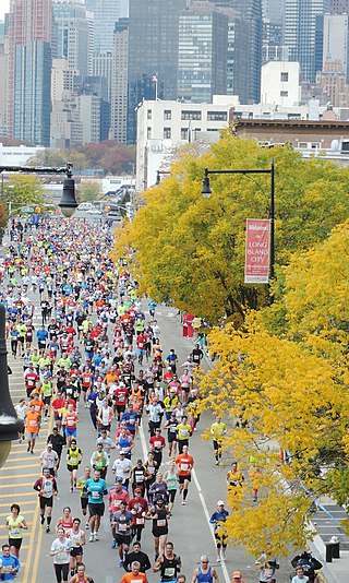<span class="mw-page-title-main">2013 New York City Marathon</span>
