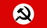 National Bolshevik Party