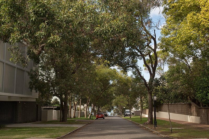 File:Nedlands crawley sts 290518 gnangarra-120.jpg