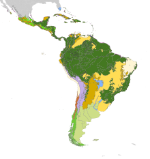 The Neotropical realm covers Central and South America Neotropic biomes.svg