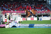 Un cheval roux saute un obstacle, monté par un cavalier.