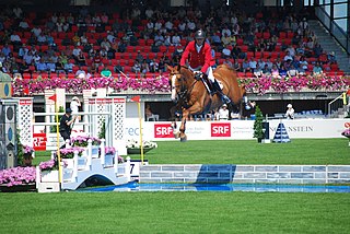 <span class="mw-page-title-main">Niels Bruynseels</span> Belgian equestrian