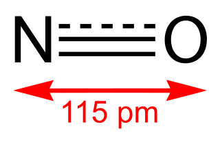 Nitric oxide Colorless gas with the formula NO