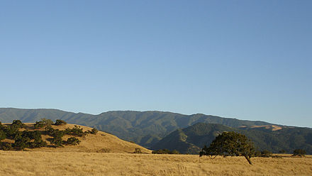 Mixed woodland-covered north slopes of the Santa Ynez Mountains, Oak savanna in the foreground, near Santa Ynez, California