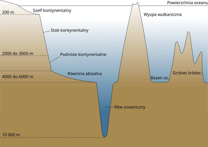 File:Oceanic basin pl.svg