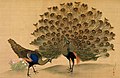 孔雀図（円山応挙・画、江戸時代後期、MIHO　MUSEUM所蔵）